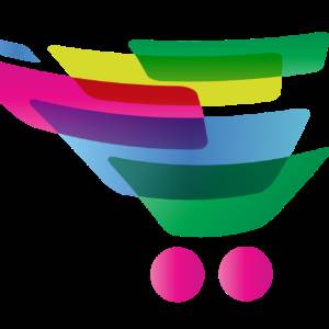 Netism soft private limited 